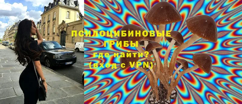 мега ССЫЛКА  Буинск  Псилоцибиновые грибы Magic Shrooms  сколько стоит 